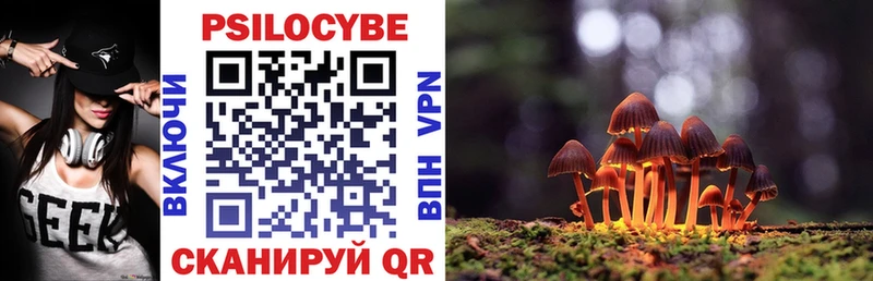 OMG сайт  Красновишерск  Галлюциногенные грибы Magic Shrooms 