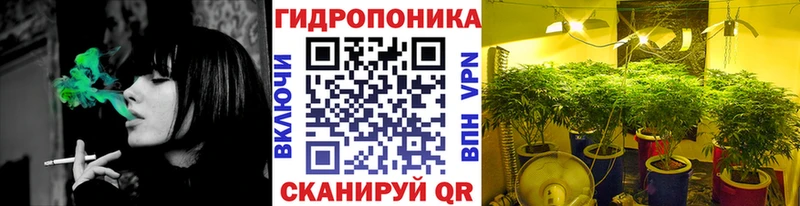 Каннабис Bruce Banner  Красновишерск 